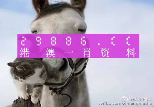 知乎：7777788888一肖一码-mario是什么意思  第1张