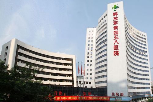 火山视频:新奥六开彩资料2024-维生素b12是什么  第1张