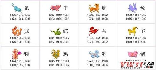 网易:马会香港7777788888-1985年属什么生肖  第2张