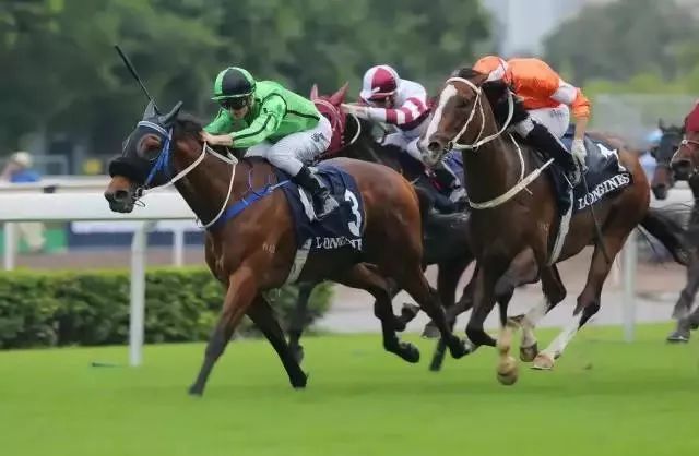 搜狗订阅:香港免费资料大全-“神仙班级”高考平均分644  第1张